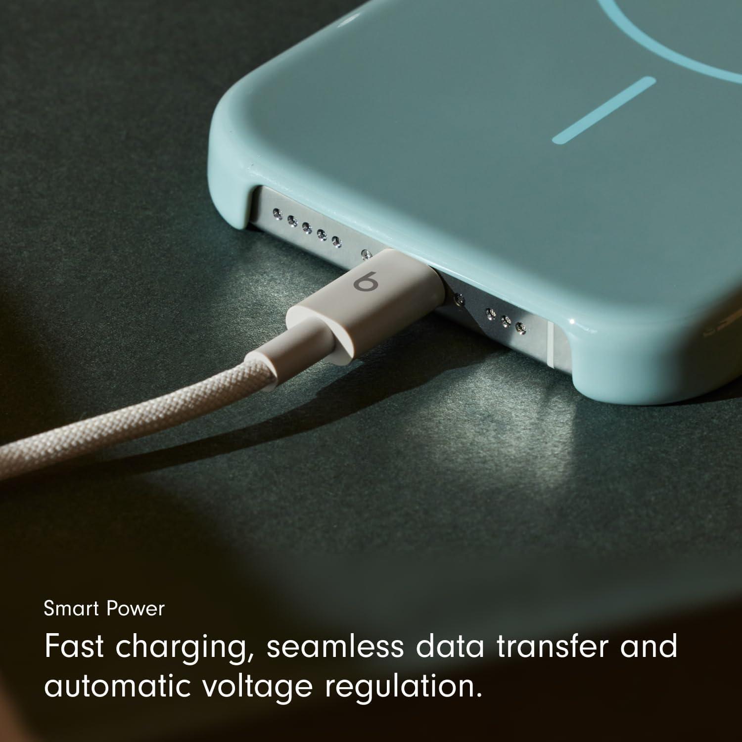 imageBeats 240W USBC to USBC Braided Cable Fast Charging DurableTangle Free Compatible with Apple and Android Devices 3 m10 ft Bolt BlackSurge Stone